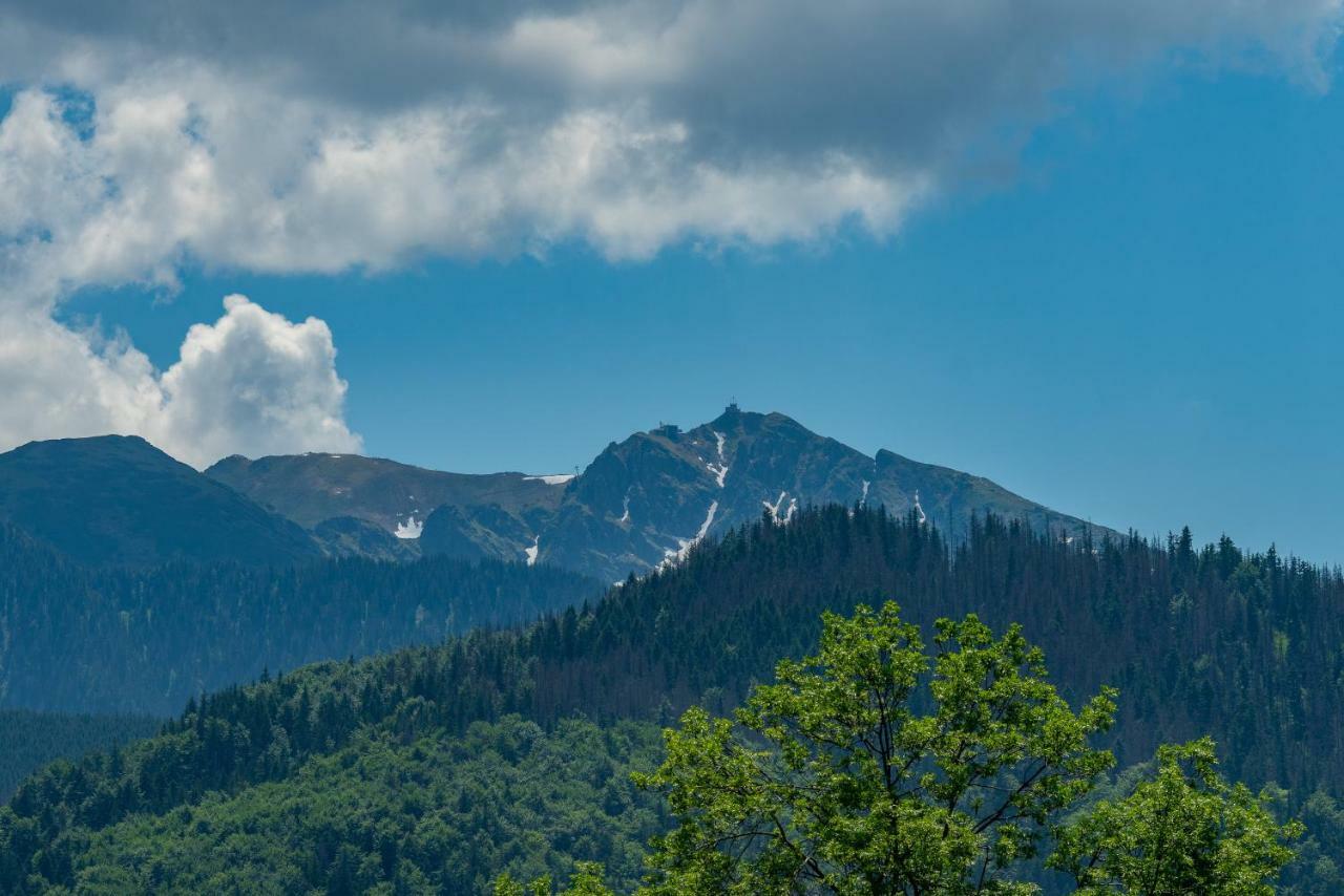 Willa Rychlina Zakopane Exterior foto